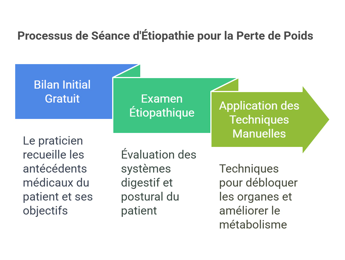 Comment Se Déroule une Séance d'Étiopathie pour la Perte de Poids _ - visual selection