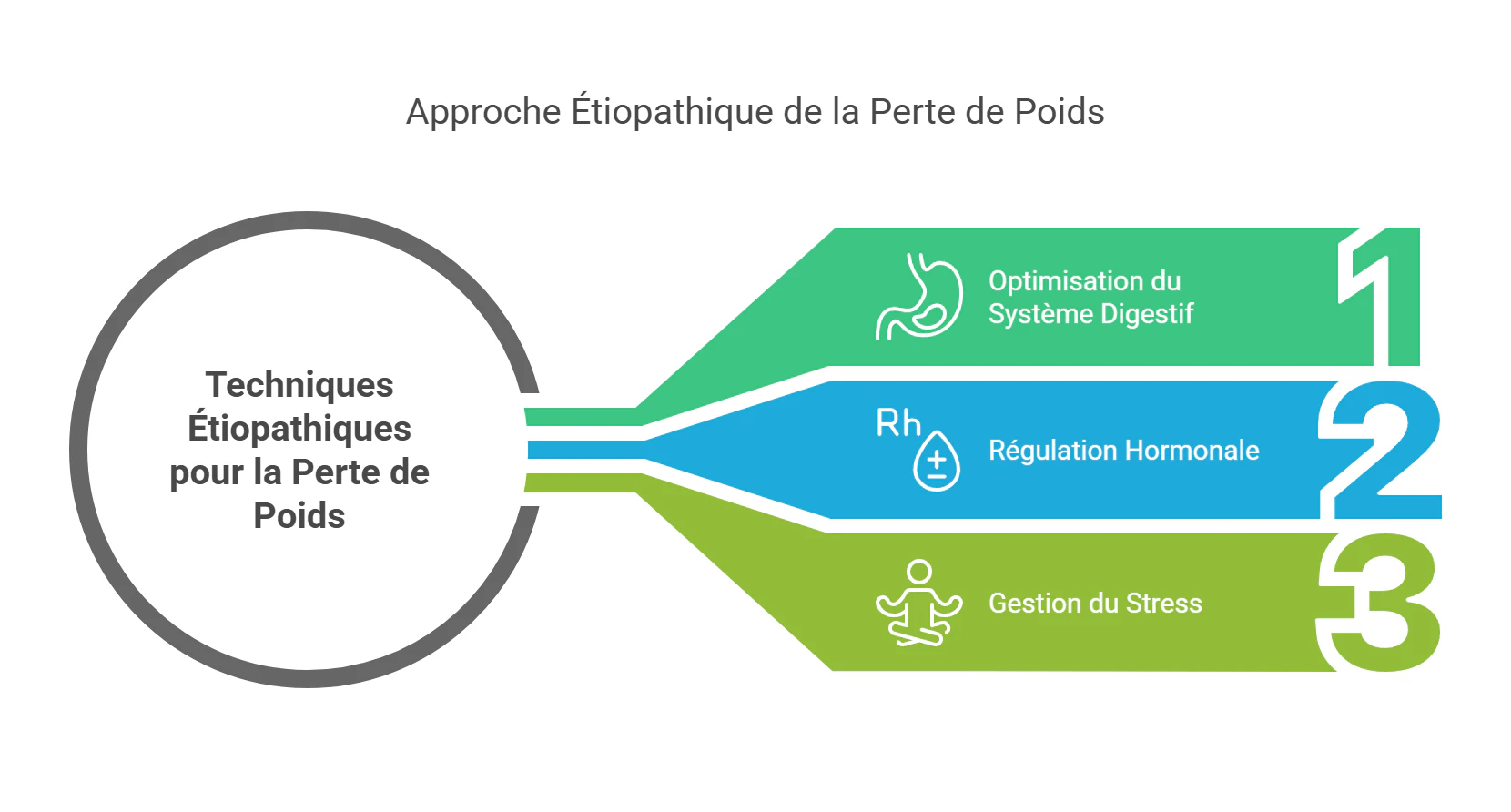 Les Bienfaits de l'Étiopathie pour la Perte de Poids - visual selection
